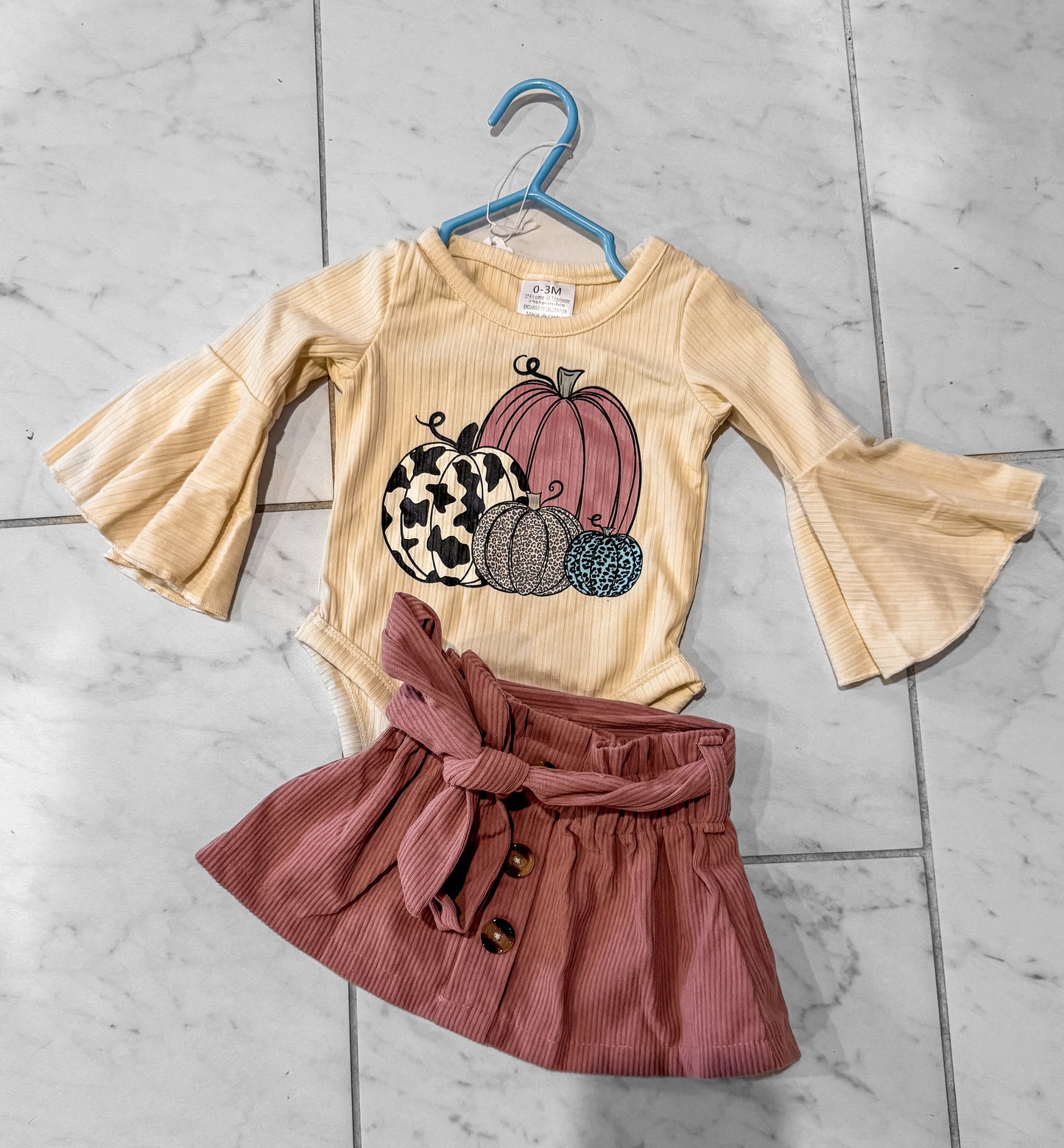 Pretty Pumpkins Infant Skirt Set